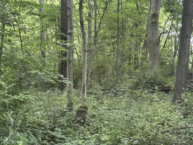 0 Hopewell Rd, Fountain City, IN 47341 - photo 14