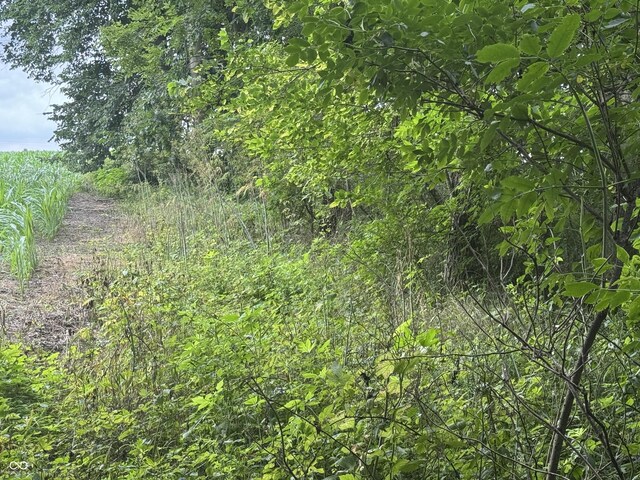 0 Hopewell Rd, Fountain City, IN 47341 - photo 11