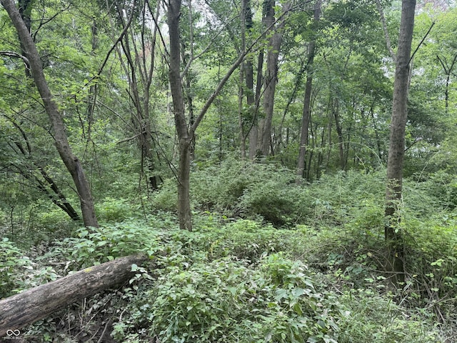 0 Hopewell Rd, Fountain City, IN 47341 - photo 8