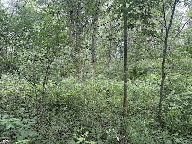 0 Hopewell Rd, Fountain City, IN 47341 - photo 10