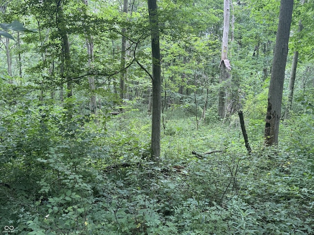 0 Hopewell Rd, Fountain City, IN 47341 - photo 9