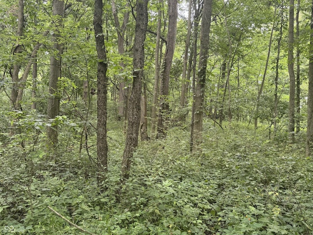 0 Hopewell Rd, Fountain City, IN 47341 - photo 7