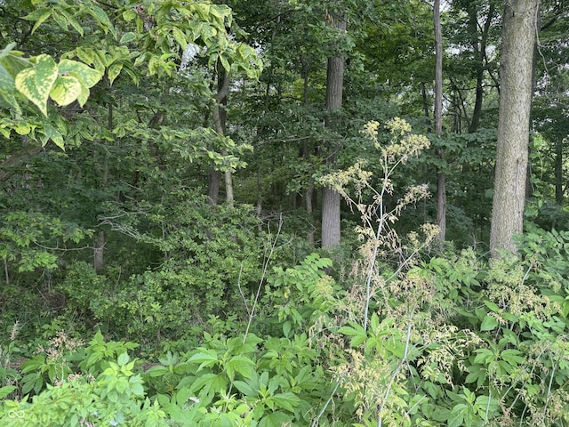 0 Hopewell Rd, Fountain City, IN 47341 - photo 15