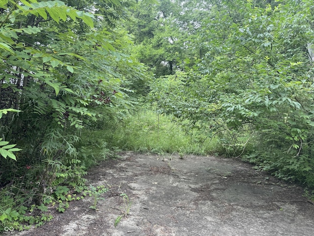 0 Hopewell Rd, Fountain City, IN 47341 - photo 18