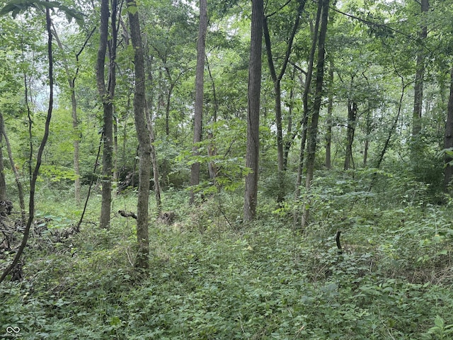 0 Hopewell Rd, Fountain City, IN 47341 - photo 6
