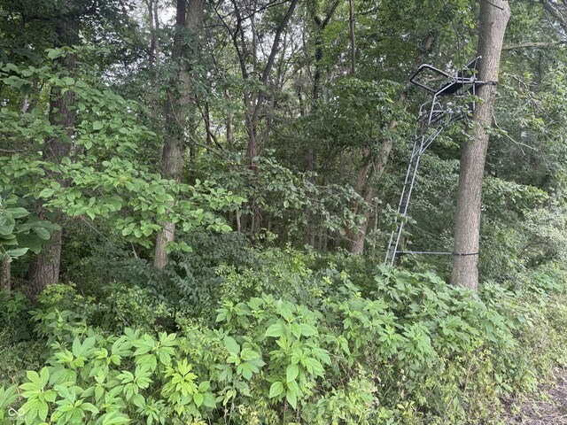 0 Hopewell Rd, Fountain City, IN 47341 - photo 17