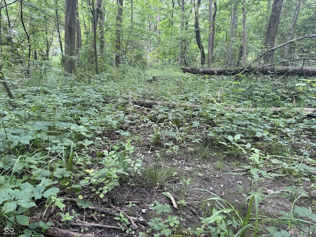 0 Hopewell Rd, Fountain City, IN 47341 - photo 20