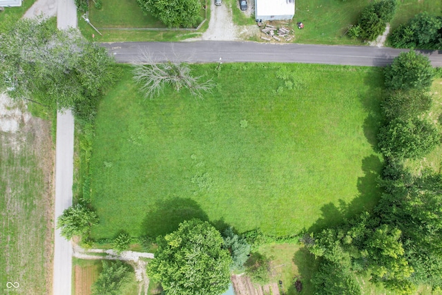 9515 S County Road 200 W, Commiskey, IN 47227 - photo 3