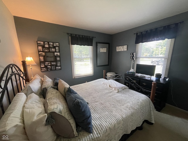 12002 Meadow Ln, Indianapolis, IN 46236 - photo 14
