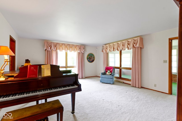 8795 Rosewood Ln, Indianapolis, IN 46240 - photo 27