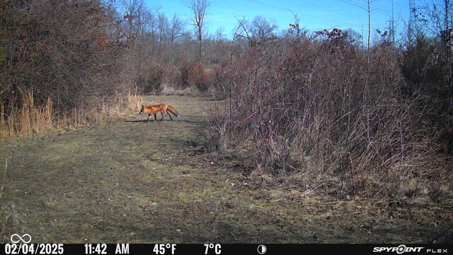 5324 W Epler Rd, Indianapolis, IN 46221 - photo 72