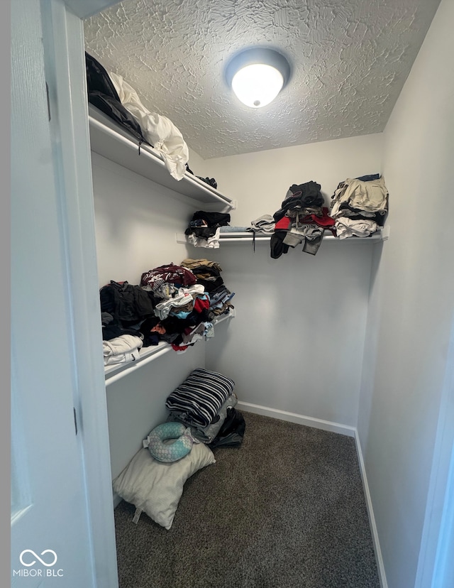 4313 W Hummingbird Way, Muncie, IN 47304 - photo 8