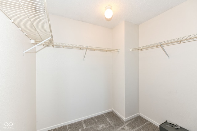 11845 Buck Creek Cir, Noblesville, IN 46060 - photo 23