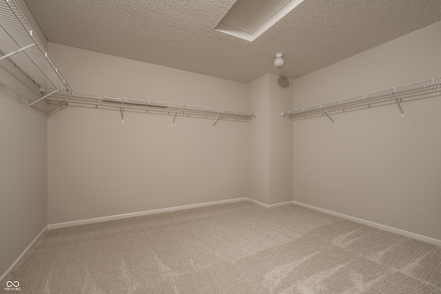 1224 Maple Trace Way, Sheridan, IN 46069 - photo 27