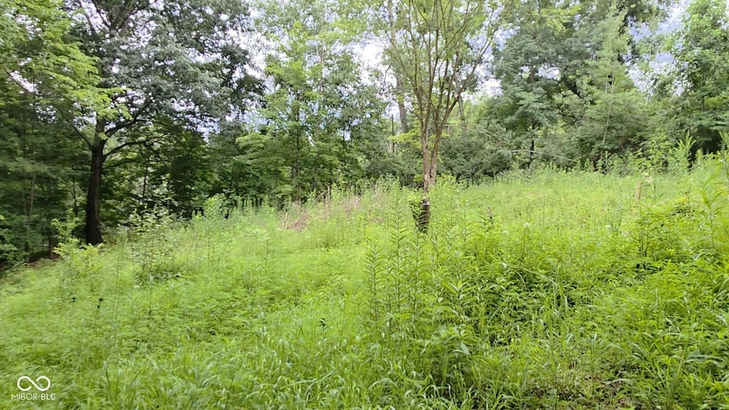 7128 N Oak Ridge Rd, Morgantown, IN 46160 - photo 1