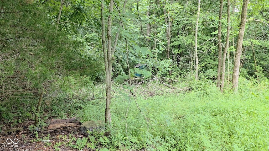 7128 N Oak Ridge Rd, Morgantown, IN 46160 - photo 2