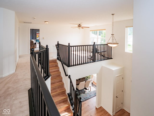 17002 Rainier Cir, Westfield, IN 46062 - photo 28