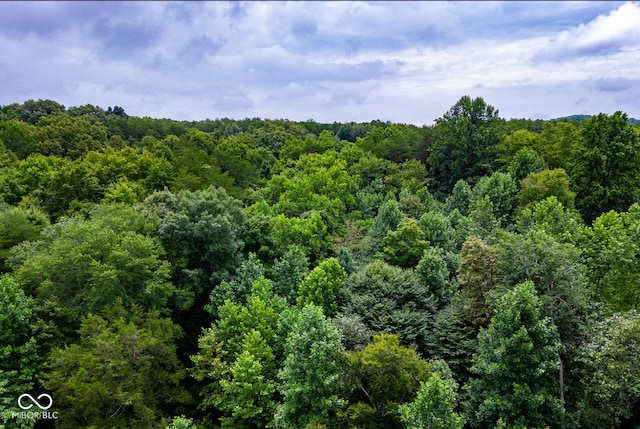 4998 W County Rd 1190 N, Freetown, IN 47235 - photo 4