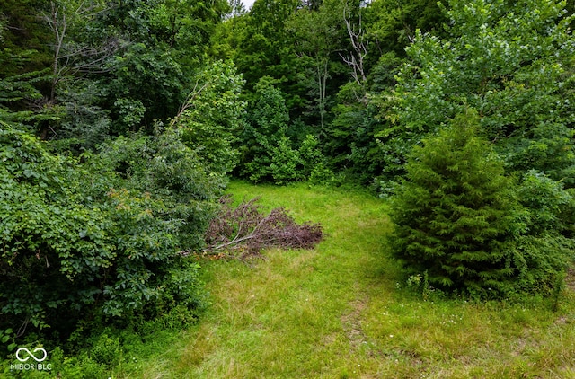 4998 W County Rd 1190 N, Freetown, IN 47235 - photo 5