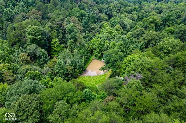 4998 W County Rd 1190 N, Freetown, IN 47235 - photo 7