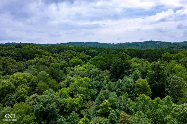 4998 W County Rd 1190 N, Freetown, IN 47235 - photo 8
