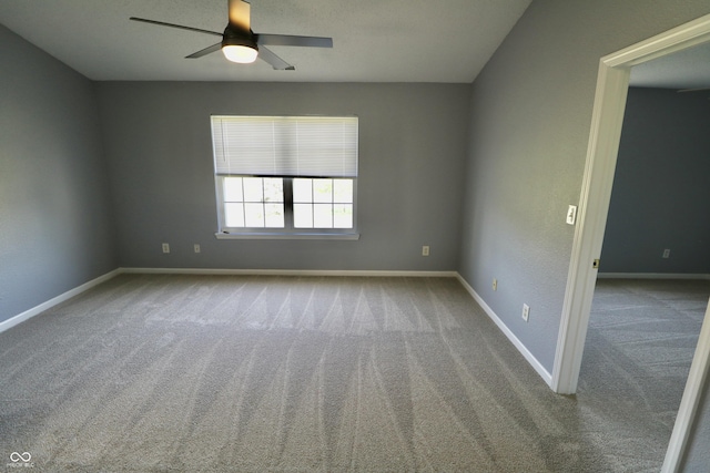 5526 Burning Tree Ct, Indianapolis, IN 46239 - photo 47