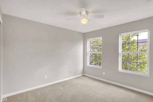 9736 Rolling Plain Dr Unit 5302, Noblesville, IN 46060 - photo 21