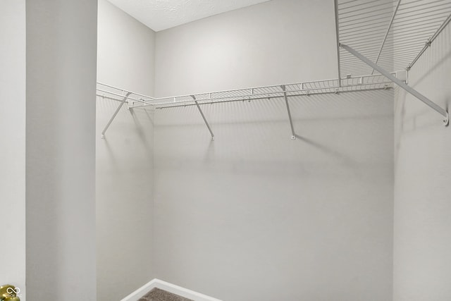 9736 Rolling Plain Dr Unit 5302, Noblesville, IN 46060 - photo 17