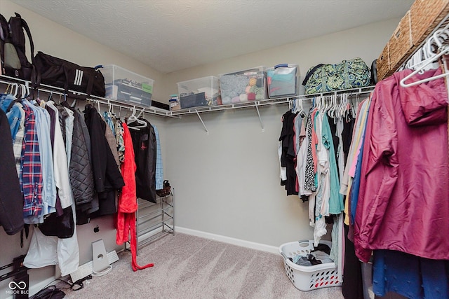 5762 Bluff View Ln, Whitestown, IN 46075 - photo 25