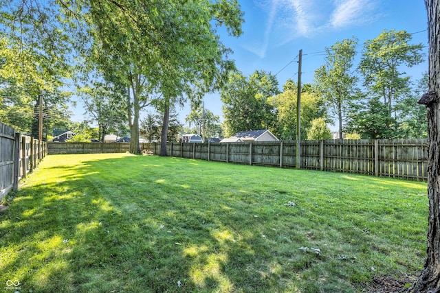 5927 Broadway St, Indianapolis, IN 46220 - photo 5