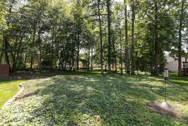 7253 Ponderosa Pines Pl, Indianapolis, IN 46239 - photo 36