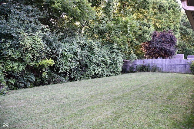 6042 Rocky River Dr, Indianapolis, IN 46221 - photo 18