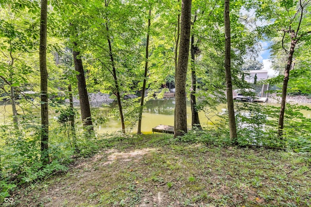 3641 W Weir Cir, Crawfordsville, IN 47933 - photo 32