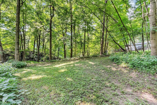 3641 W Weir Cir, Crawfordsville, IN 47933 - photo 36