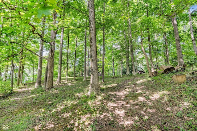 3641 W Weir Cir, Crawfordsville, IN 47933 - photo 34