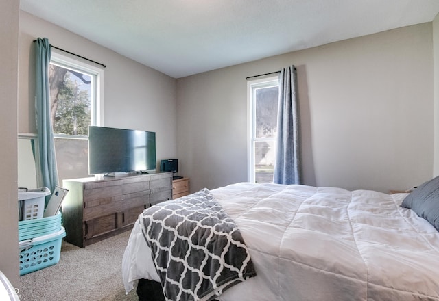 402 E 6th St, Sheridan, IN 46069 - photo 10