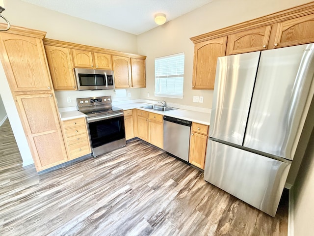 19334 Fox Chase Dr, Noblesville, IN 46062 - photo 19