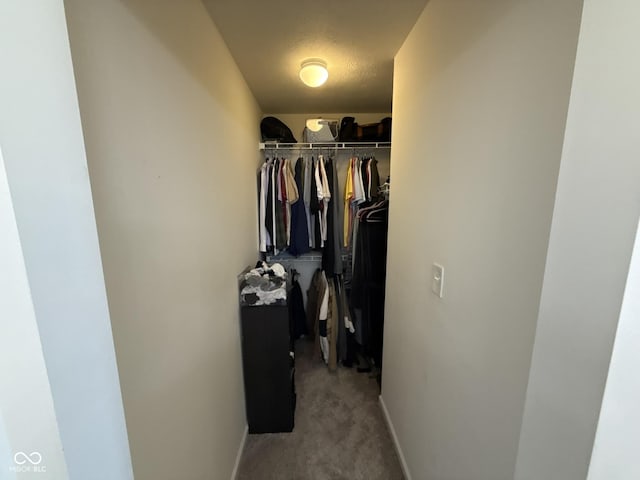 681 Albermarle Dr, Pittsboro, IN 46167 - photo 12