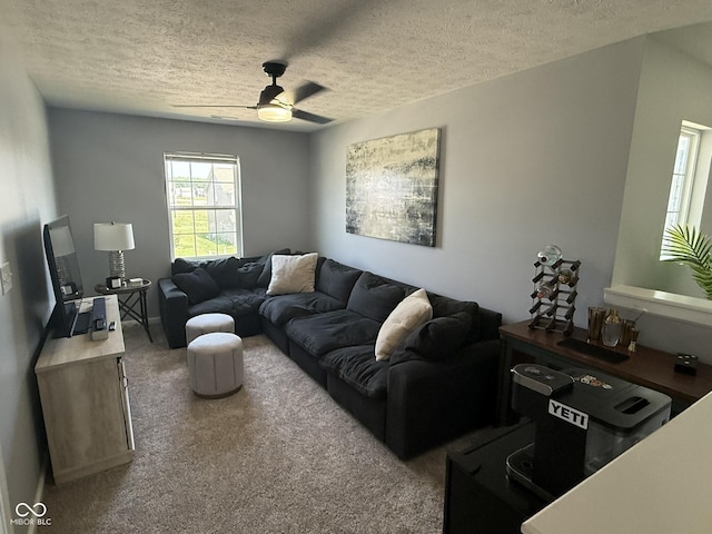 681 Albermarle Dr, Pittsboro, IN 46167 - photo 10