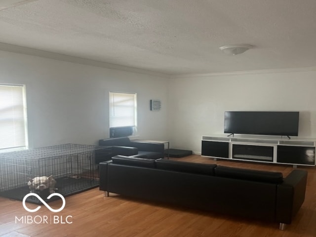 1157 W Kilgore Ave, Muncie, IN 47305 - photo 5