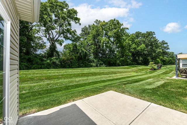 368 Angelina Way, Avon, IN 46123 - photo 29