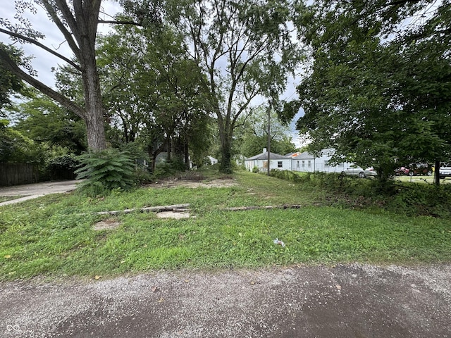 2965 N Olney St, Indianapolis, IN 46218 - photo 6