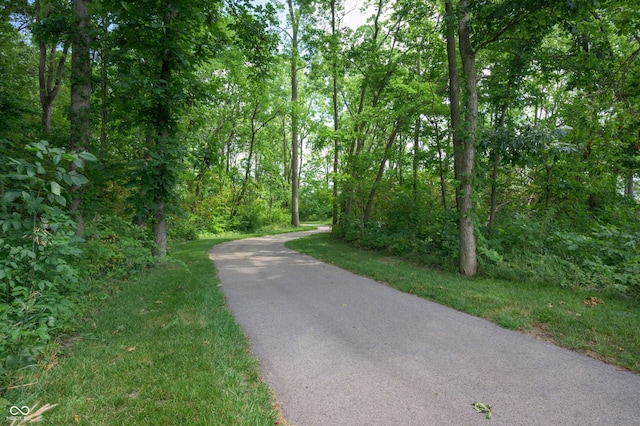 15424 Eclipse Rd, Westfield, IN 46074 - photo 35