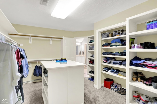 9811 Buttondown Ln, Zionsville, IN 46077 - photo 30