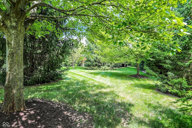 9811 Buttondown Ln, Zionsville, IN 46077 - photo 68