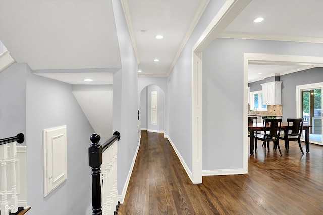 9811 Buttondown Ln, Zionsville, IN 46077 - photo 21