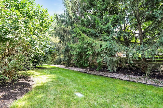 9811 Buttondown Ln, Zionsville, IN 46077 - photo 66