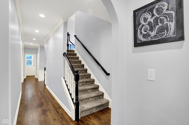 9811 Buttondown Ln, Zionsville, IN 46077 - photo 22