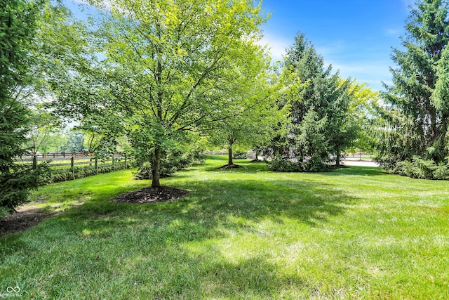 9811 Buttondown Ln, Zionsville, IN 46077 - photo 67