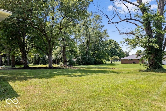 6326 Forest View Dr, Indianapolis, IN 46260 - photo 49
